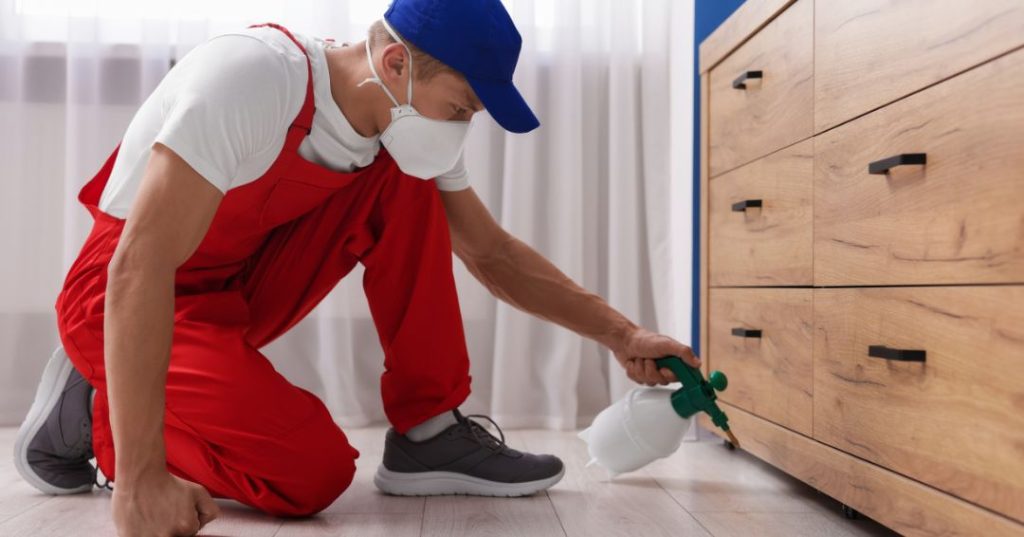 capa dedetizacao em Palmas